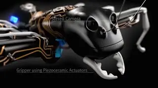 Самые крутые роботы для исследований и игр. Роботы насекомые. Роботы животные. Робот собака. Роботы.