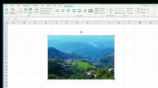 Auto-Size Pictures to Fit Cells in Excel