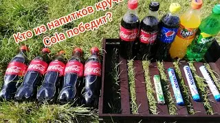 Реакция Cola Fanta Pepsi Sprite что круче? Думаешь Кола? А вот и нет😁
