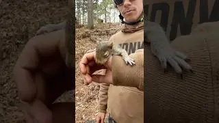 The Sweetest Animal Encounters Caught On Camera ❤️ 