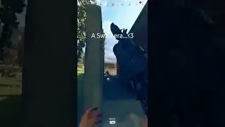 Miss you.. old warzone #shorts