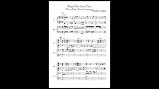 【クロノ・トリガー】 シルバード ～時を渡る翼～ 【耳コピー&ピアノアレンジ】