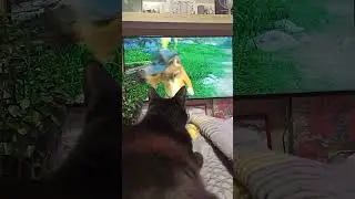 Любимые мультики перед сном (Шрек 2)