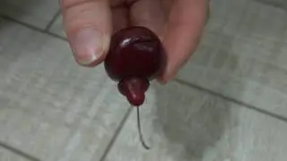 Черешня с Писуном)))