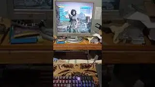 Краткий обзор на мой пк 😜