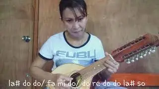 PAUBAYA - BANDURRIA SOLO WITH NOTES / by Merlissa J.
