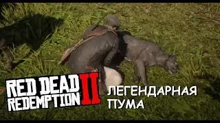Легендарная ПУМА в Red Dead Redemption 2
