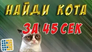 Найди кота за 45 секунд !