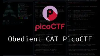 picoCTF Obedient Cat walkthrough 