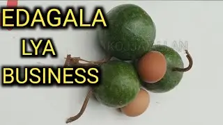 EDAGALA Lya Business Okufuna Abaguzi Okugoba Abalogo Ebisirani
