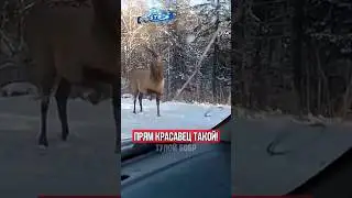 🤣НУ БЫВАЕТ, НЕМНОГО ПЕРЕПУТАЛА!