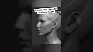 Understanding the Jawline