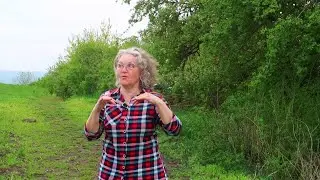 Городок в удачном месте. Заметки о природе Татарского городища