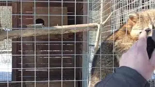Парк птиц Воробьи 2021