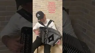 #гармонь