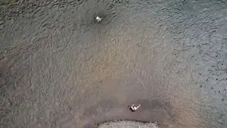 BIG FISH ON STREAMERS!