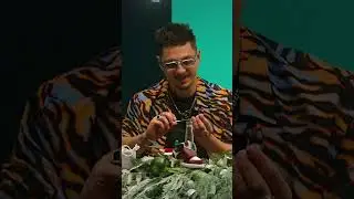ВПИСКА на НОВОМ YOUTUBE ШОУ МОСГОРДВИЖ #Shorts #Вписка