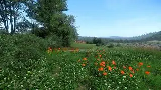Kingdom Come Deliverance Ultra Realistic Modded Next-Gen Beautiful Graphics 2024