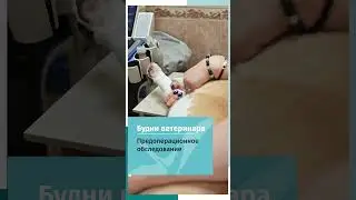ЭХО перед операцией