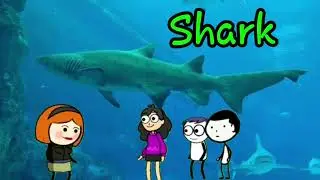 Water animals|| with animation || sea life|| kindergarten