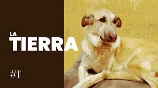 🔴Pintando a Tierra y acabando los detalles importantes 🌍🐶 || 🎨💻ILUSTRACIÓN DIGITAL💻🎨 ||  Tierra #11