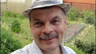 Лето в разгаре// Почистил дорожки на даче// Посадил зелень и цветы