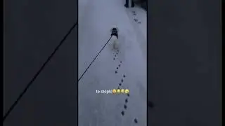 Идеальный сход развал 😀