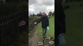 SOS 4 the wildlife 🆘FEEDING WILDLIFE @maldon Promenade - song lastest sept 2024 - K.I.S.S ⬇️Nature