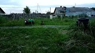 с Графом приехали на фазенду
