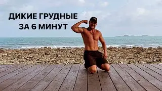 Дикие грудные за 6 минут в день. Тренировка грудных ДОМА