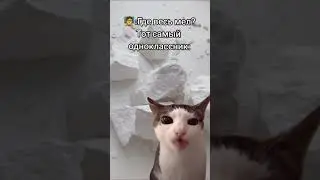 Ну я просто не мог это вставить😂😂😂