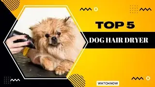 Top 5 Dog Hair Dryers | Best Dog Rotating Hot Air Dryers Reviews
