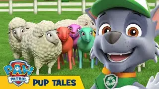 🐶 Pups Save the Shivering Sheep | PAW Patrol | Cartoons for Kids