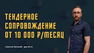 Тендерное сопровождение с нуля 