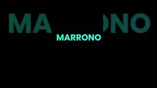 Multicolored Animated Text | CSS Tutorial #shorts