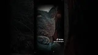 @imranasifashraf #imranashraf #imrankhan #china #pubgmobile #nature