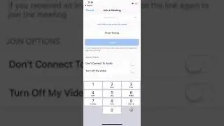 Zoom iOS original sound