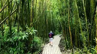 Waimoku Falls- Haleakela National Park