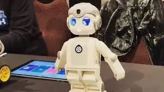 2019 CES Alpha Mini humanoid robot from @ubtechrobotics