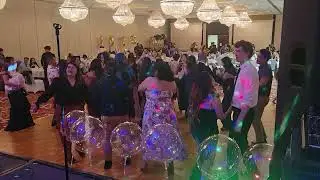 Dr. Yer Yang's party  2