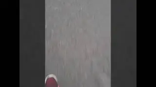 Longboarders day out