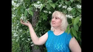 ТУНИКА БАМБУКОВАЯ// Очень легко и быстро, справится даже начинающий