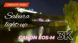 Marugame Castle Sakura Light Up | Canon EOSM 3K