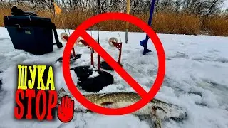 ✋️ЩУКА, а Далі Що..? А Далі Всьо!🤷‍♂️ Ловля ЩУКИ Перед Нерестовою Забороною 2024