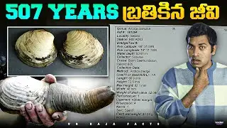 Train Accident In Australia| Hindu | Top 10 Interesting Facts | Telugu Facts | VR Raja Facts