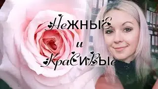 Vlog-174 Розы отцветают, другие зацветают