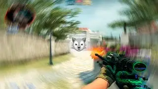 AUF 🐺