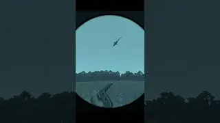 Cobra down - Arma Reforger