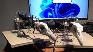 Short Animatronic Clips 2 2023
