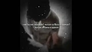лысые уебаны в адиках